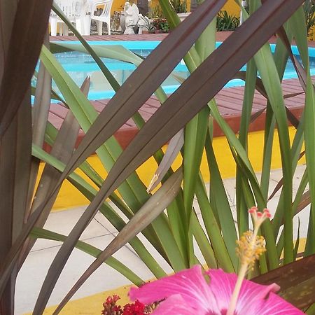 Casa Pousada Rosa Dos Ventos Florianópolis 外观 照片
