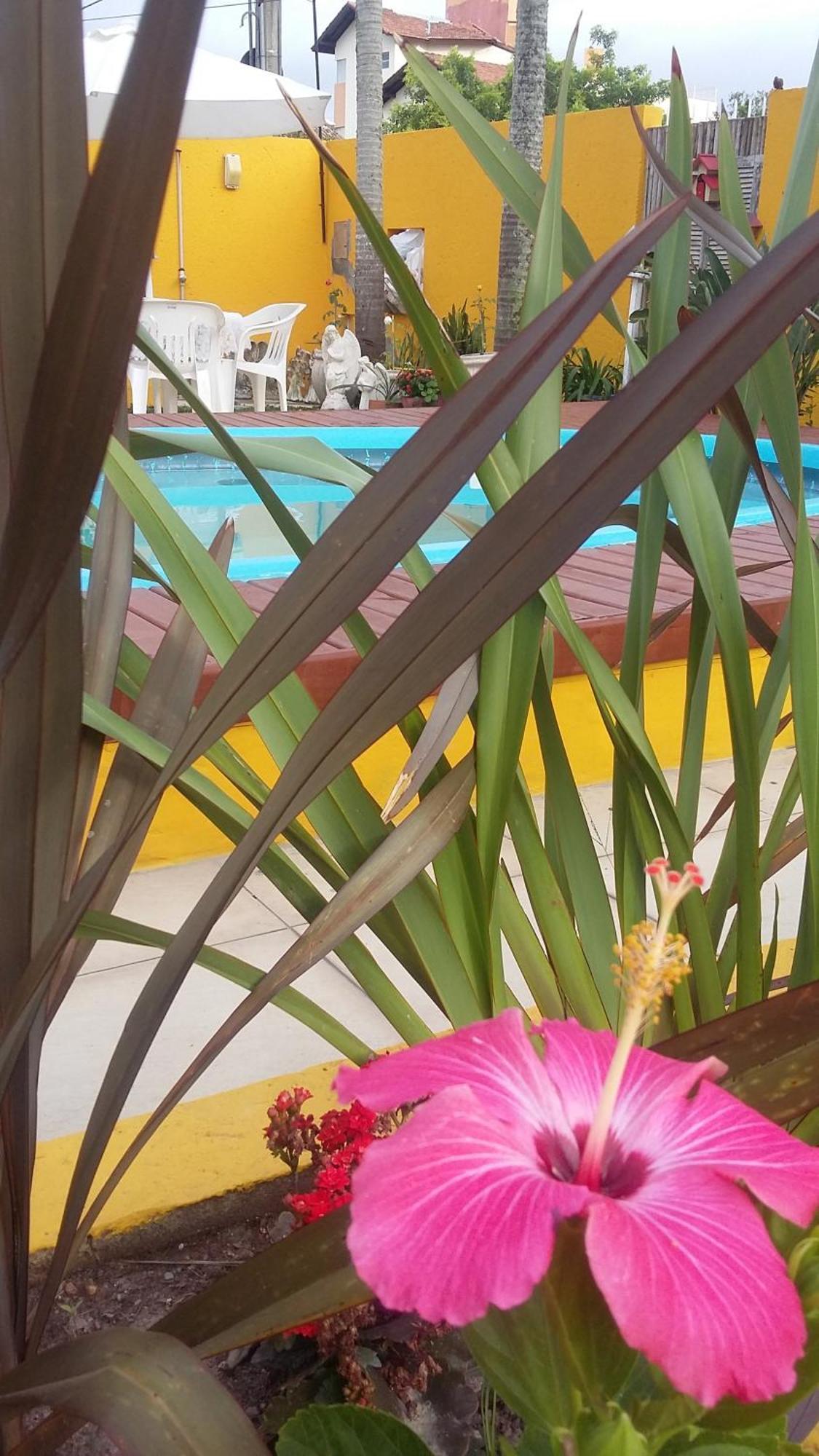 Casa Pousada Rosa Dos Ventos Florianópolis 外观 照片